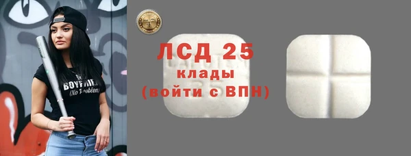 трава Новозыбков