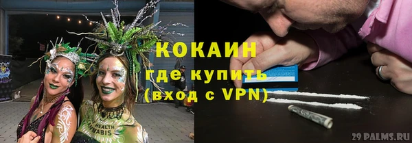 трава Новозыбков